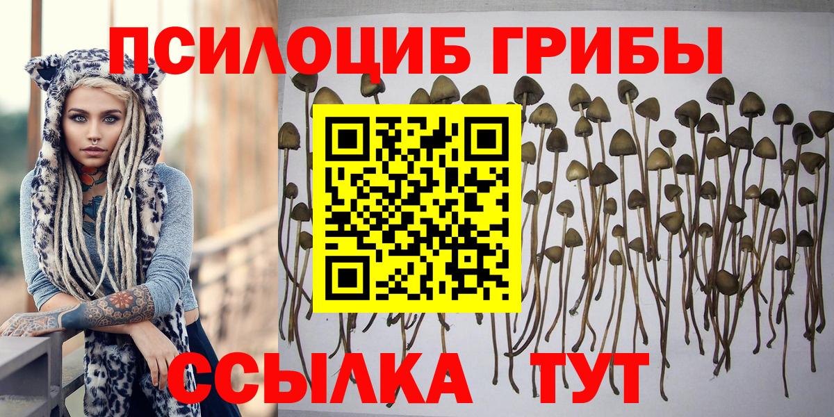 Псилоцибиновые грибы MAGIC MUSHROOMS  Вход с VPN  даркнет сайт  Рубцовск  Псилоцибиновые грибы Magic Shrooms 